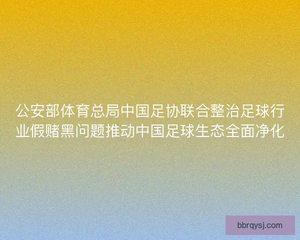 公安部体育总局中国足协联合整治足球行业假赌黑问题推动中国足球生态全面净化